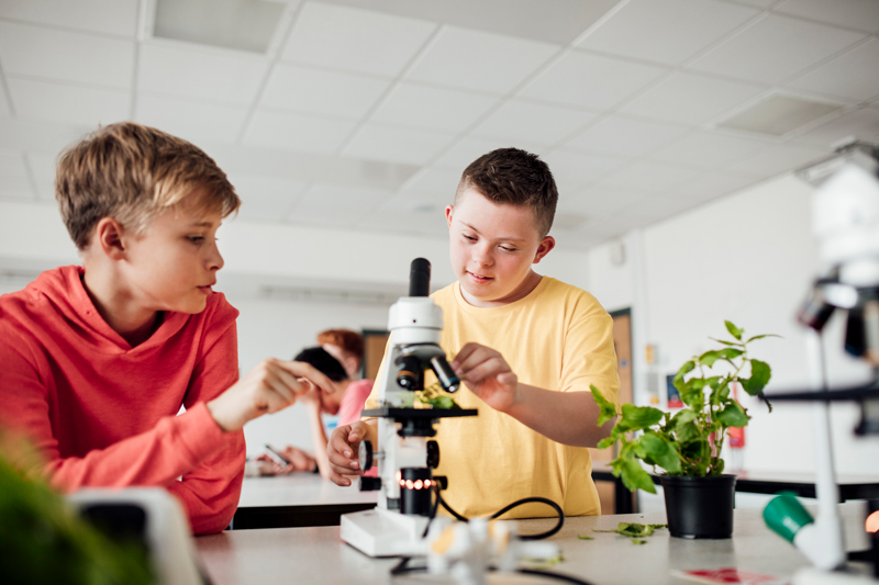 Image of two children looking at a mircoscope that has leaves fro ma nearby plant under it.