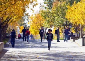 People walking on Auraria campus surrounded by Autumn colored trees.