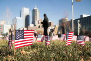 Veterans Day flag planting