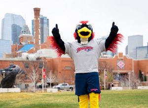 MSU Denver mascot, Rowdy, giving thumbs up in front of the Tivoli.
