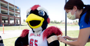 Elle Heeg Miller gives Rowdy a bandage after his vaccination at the 5th Street Garage vaccination site.