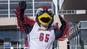 Rowdy cheering with arms raised.