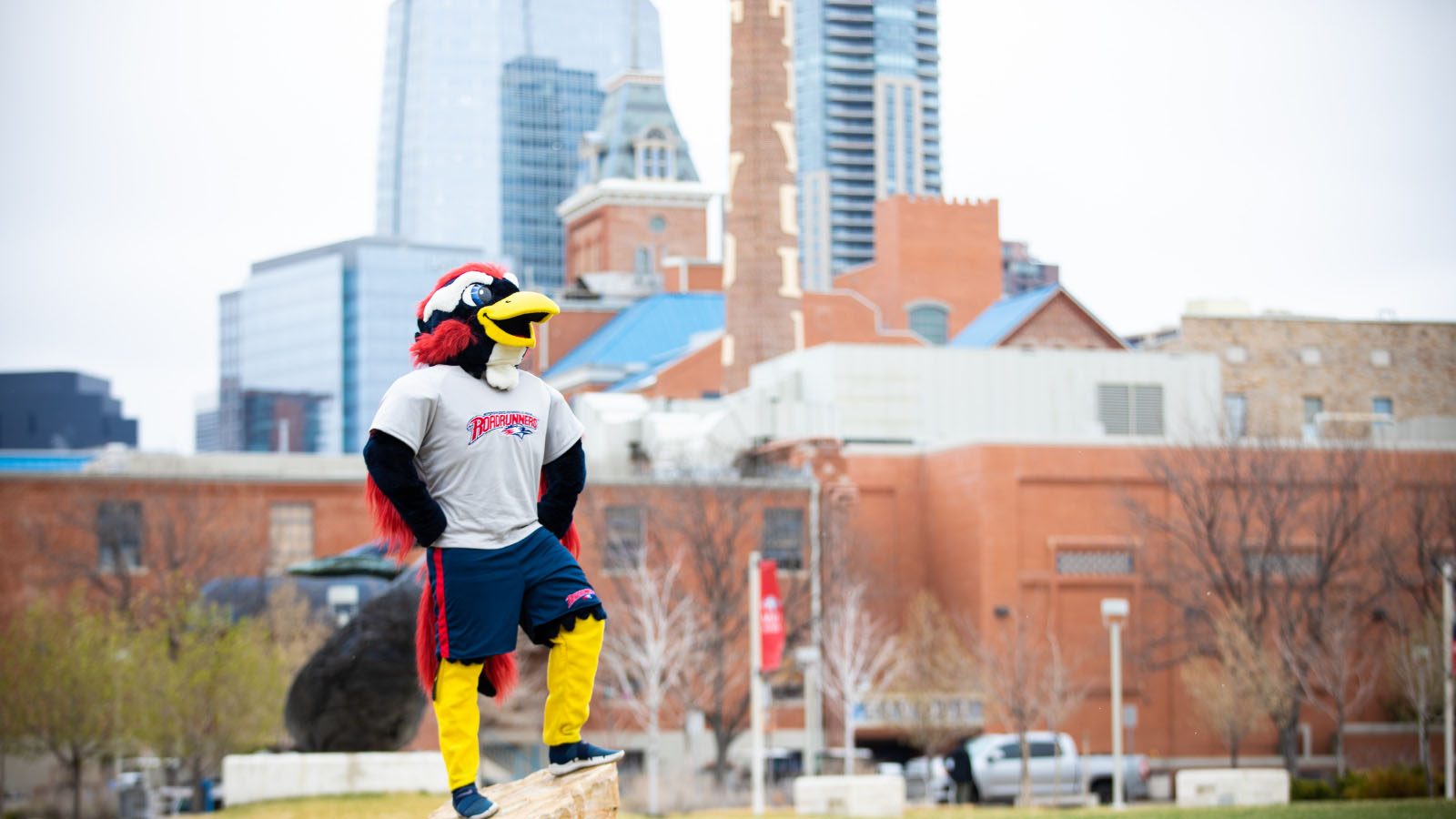MSU Denver mascot Rowdy posing in front of Tivoli.