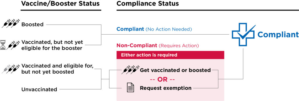 Vaccine/Booster status flowchart for Covid-19 compliance at MSU Denver.