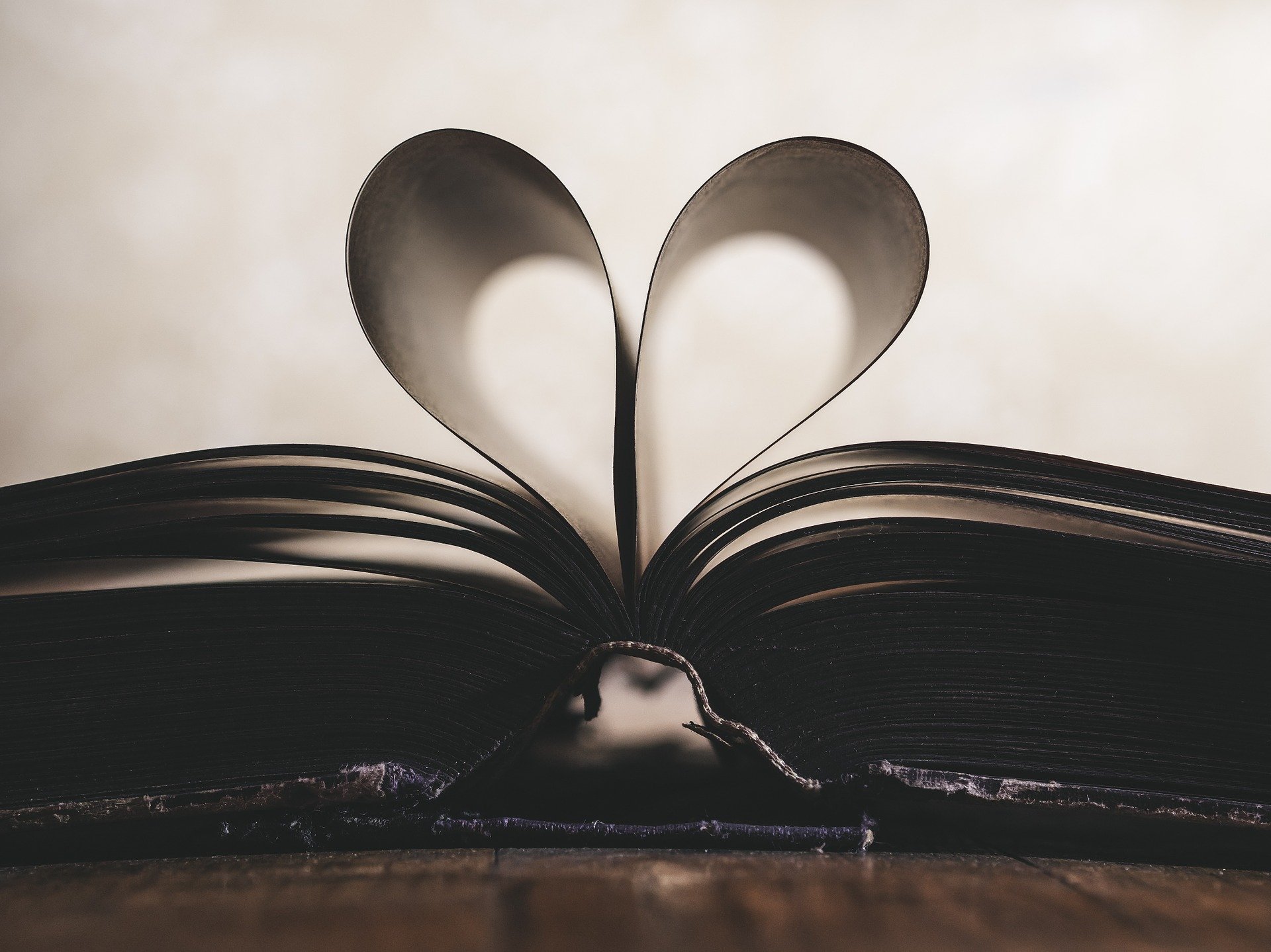 Open book with pages making a heart shape