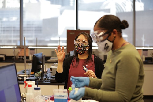 Dr. Sophia Cherry teaching a chemistry class.