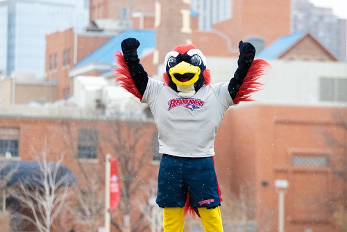 MSU Denver mascot Rowdy in celebratory pose.