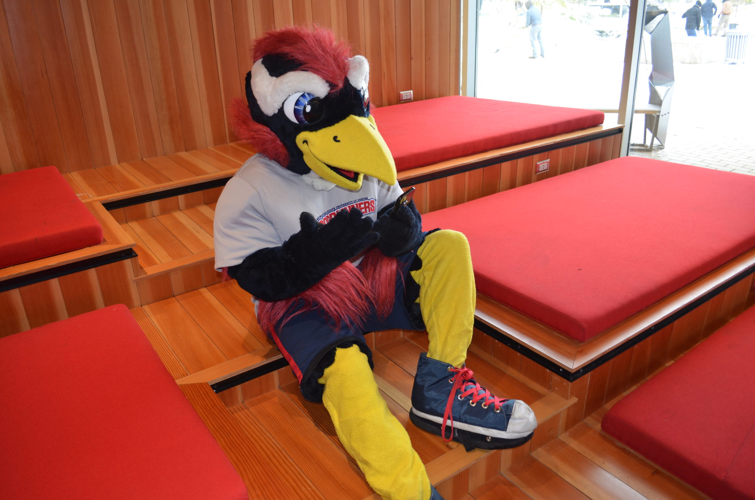 Rowdy the Roadrunner sitting on a multi-layered red seating
