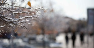 Ice-covered branches in foreground; figures walking on campus in background.