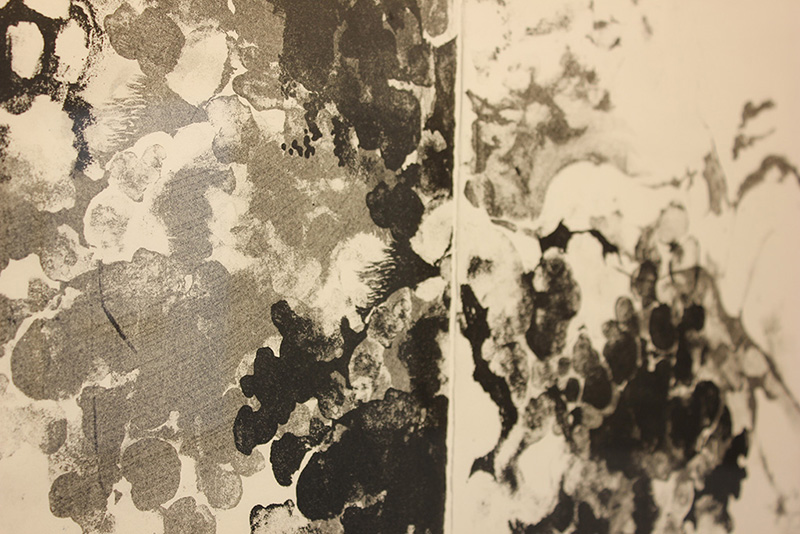 800x600Libby-Garon-Fruitful-Origins-Detail-lithograph-2012-collection-of-Pamela-Merrill