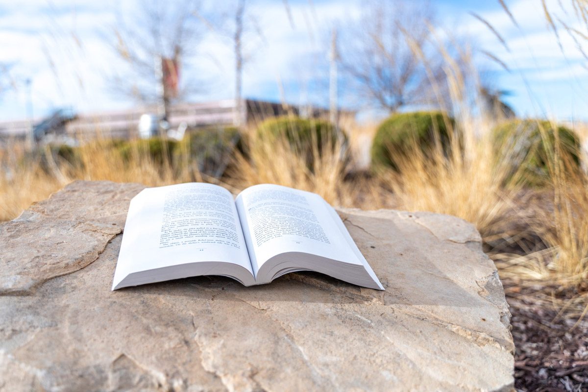 open book sitting on a rock in front of the Tivoli