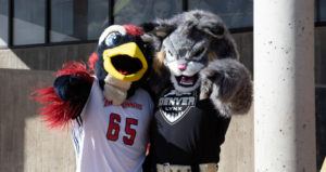 MSU Denver mascot Rowdy and CU Denver mascot Milo posing together.