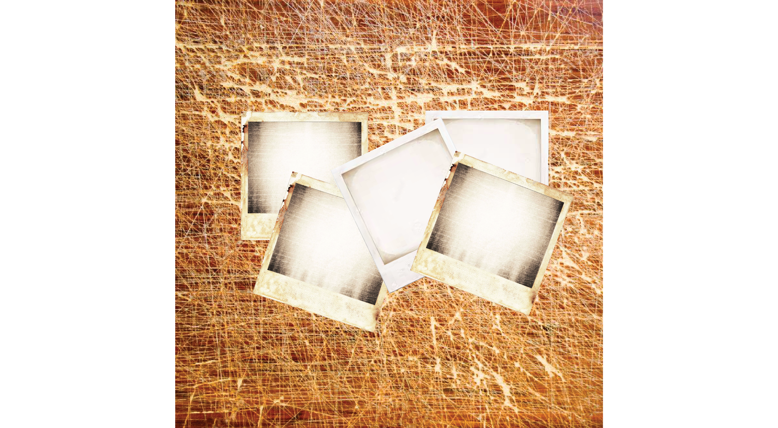 Polaroid_Stories_Online_Image-01