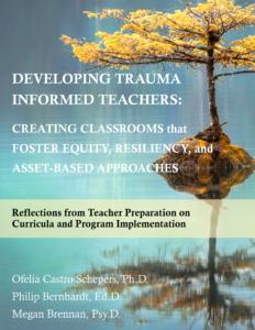 Reflections from TEacher Preparation on Curricula and Program Implementation book cover