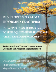 Reflections from Teacher Preparation on Curricula and Program Implementation book cover