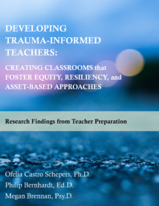 Research Findings from Teacher Preparation book cover