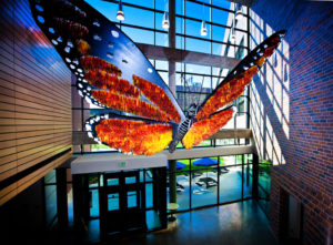 Giant, colorful butterfly art hanging in the science building.