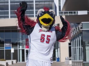 MSU Denver mascot Rowdy in celebratory pose.
