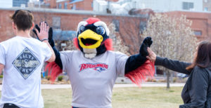 Two people approaching MSU Denver mascot, Rowdy, for high-fives.