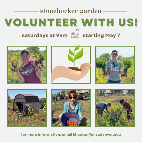 Stonehocker Community Garden in Northglenn is looking for volunteers to help garden every Saturday morning from 9-11am.