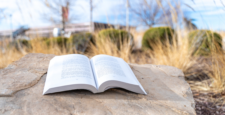 JSSB, Book, Feature Photos, MSU Denver, Library