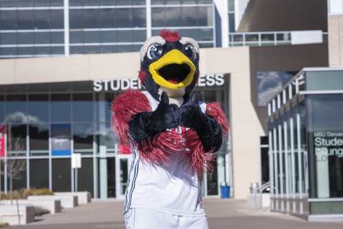 MSU Denver mascot, Rowdy giving a double thumbs-up in front of JSSB.