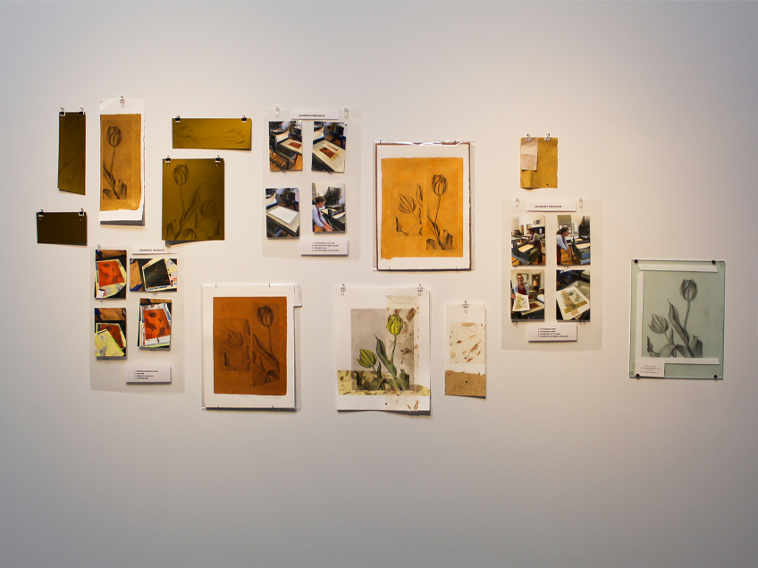 A wall with various artworks and photos, primarily featuring tulip sketches and painting processes.