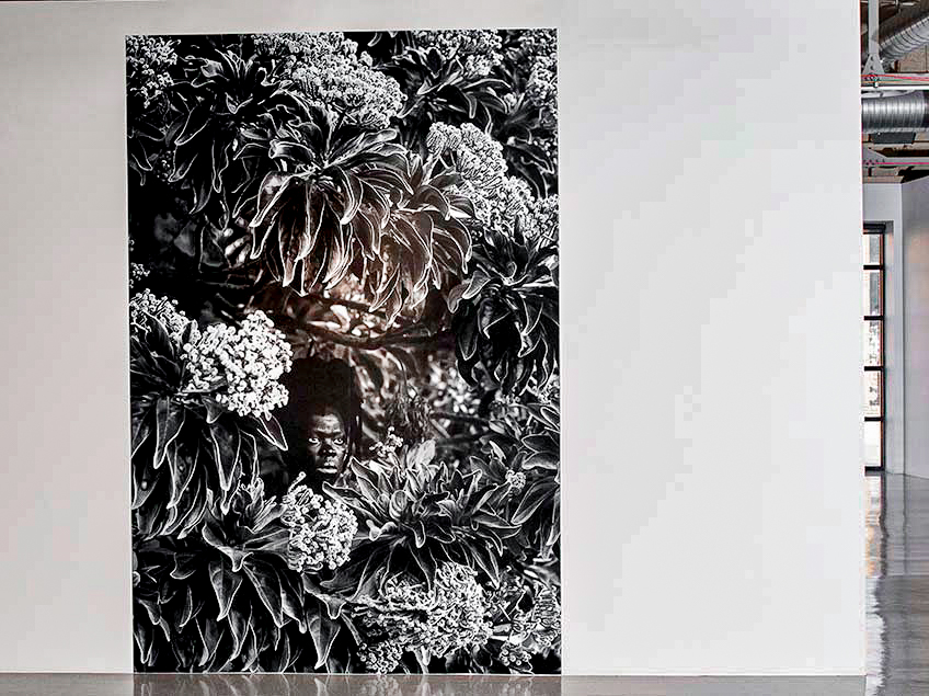 Black-and-white artwork of foliage with a hidden face, displayed in a gallery.