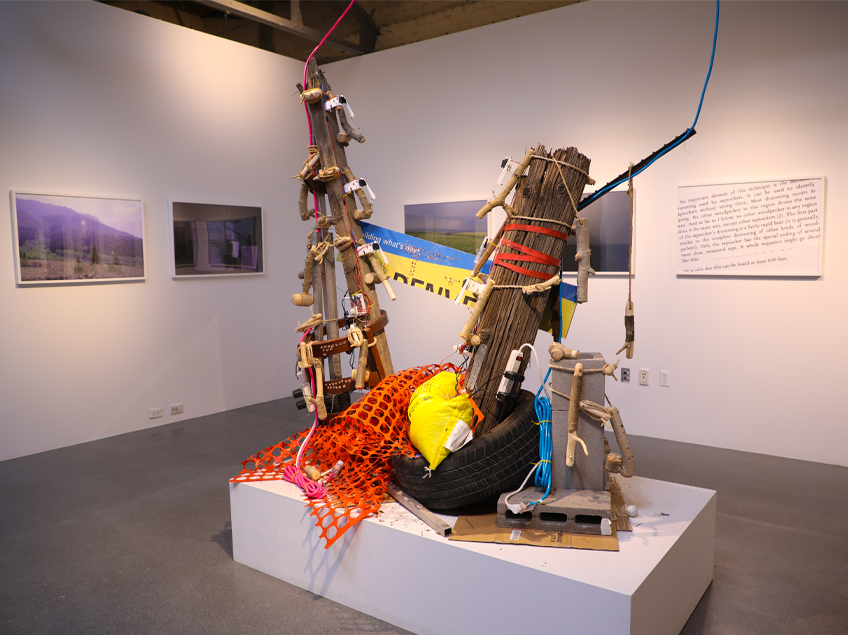 rt installation with tall sculptural forms made from found objects including wood, ropes, and metal, set in a gallery.