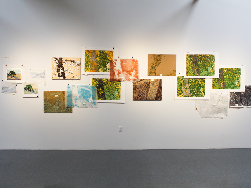 Wall display of abstract mixed-media art pieces in a gallery.