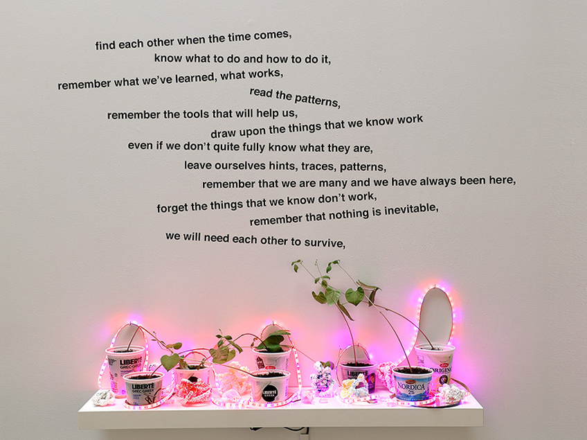 A wall with a poem above a shelf holding containers with plants and pink lights.