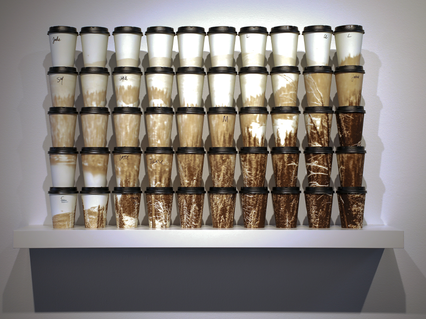 A display of coffee cups with lids arranged in a grid on a shelf. The image of a forest is the subject on the cups.