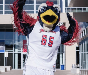 Rowdy The Roadrunner - MSU Denver