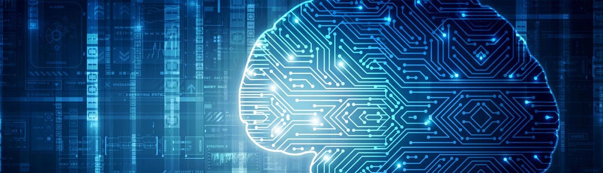 brain and algorithm visual en español: cerebro y algoritmo visual