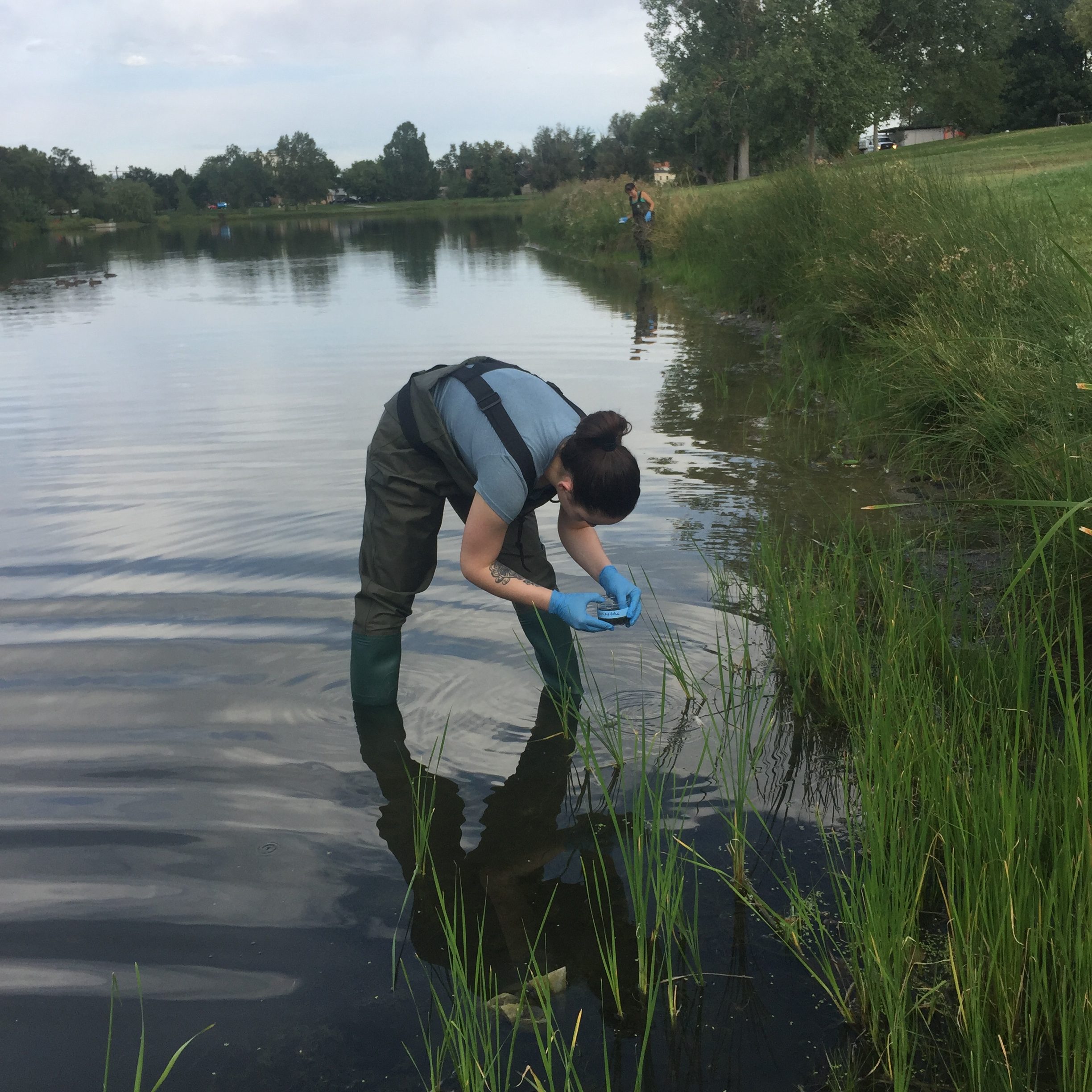 Field Research students (Kolts)