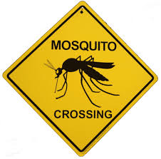 Mosquito Crossing