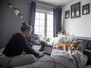 A student doing her homework on her bed with her dogs.