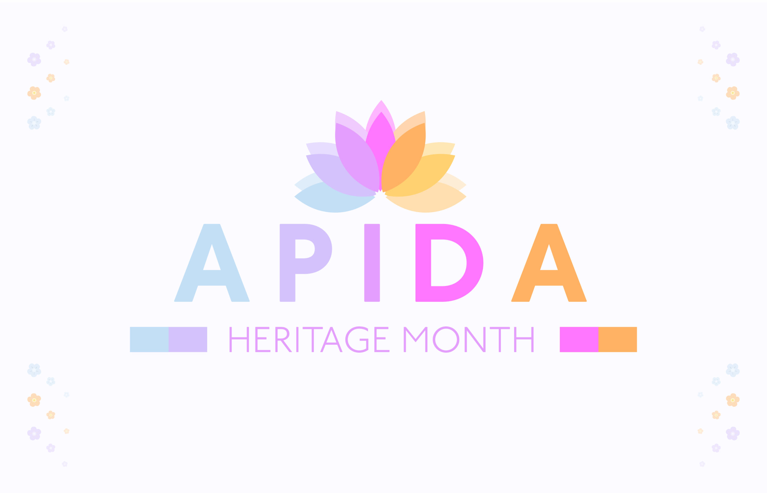 APIDA Website Banner