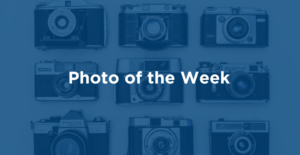 Photo of the Week