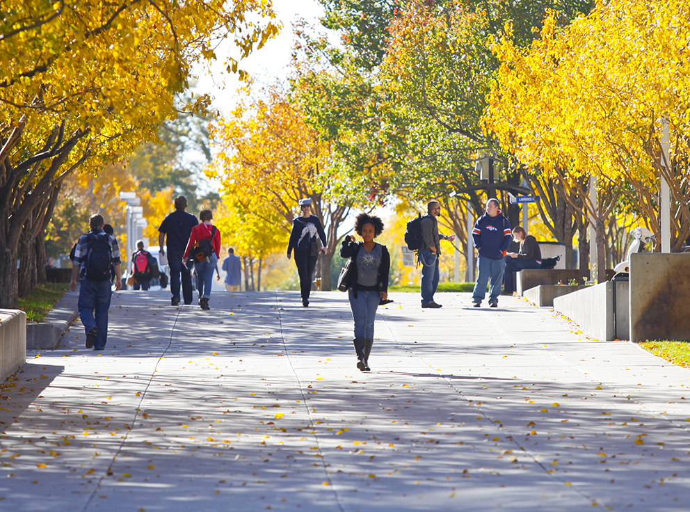 Auraria Campus in the fall, trees have begun to turn, students walking around