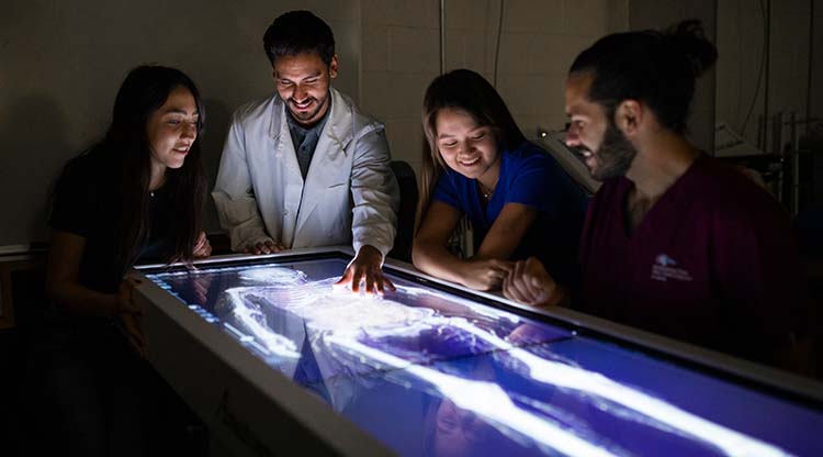 Health students examining an x-ray