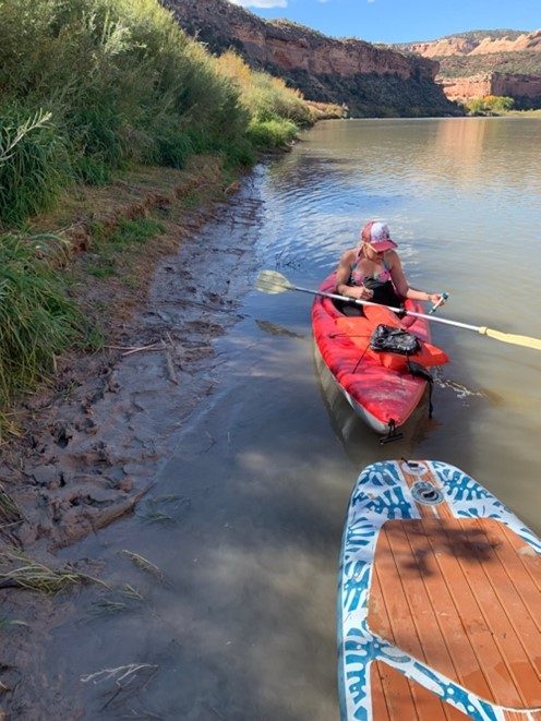 Otter and Beavers 2 – JGS Lab In Action