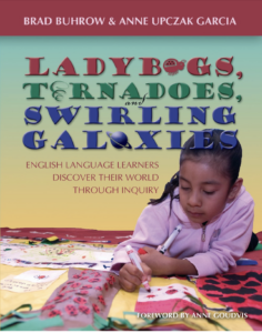 Ladybugs, Tornadoes, and Swirling Galaxies book cover