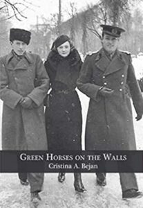 Green Horses on the Walls book cover