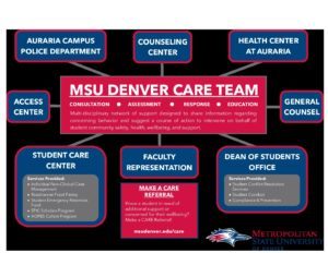 CARE-Team-SCC-Graphic-3-pdf-300×232