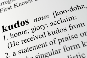 Kudos with definition