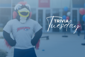 Trivia Tuesday