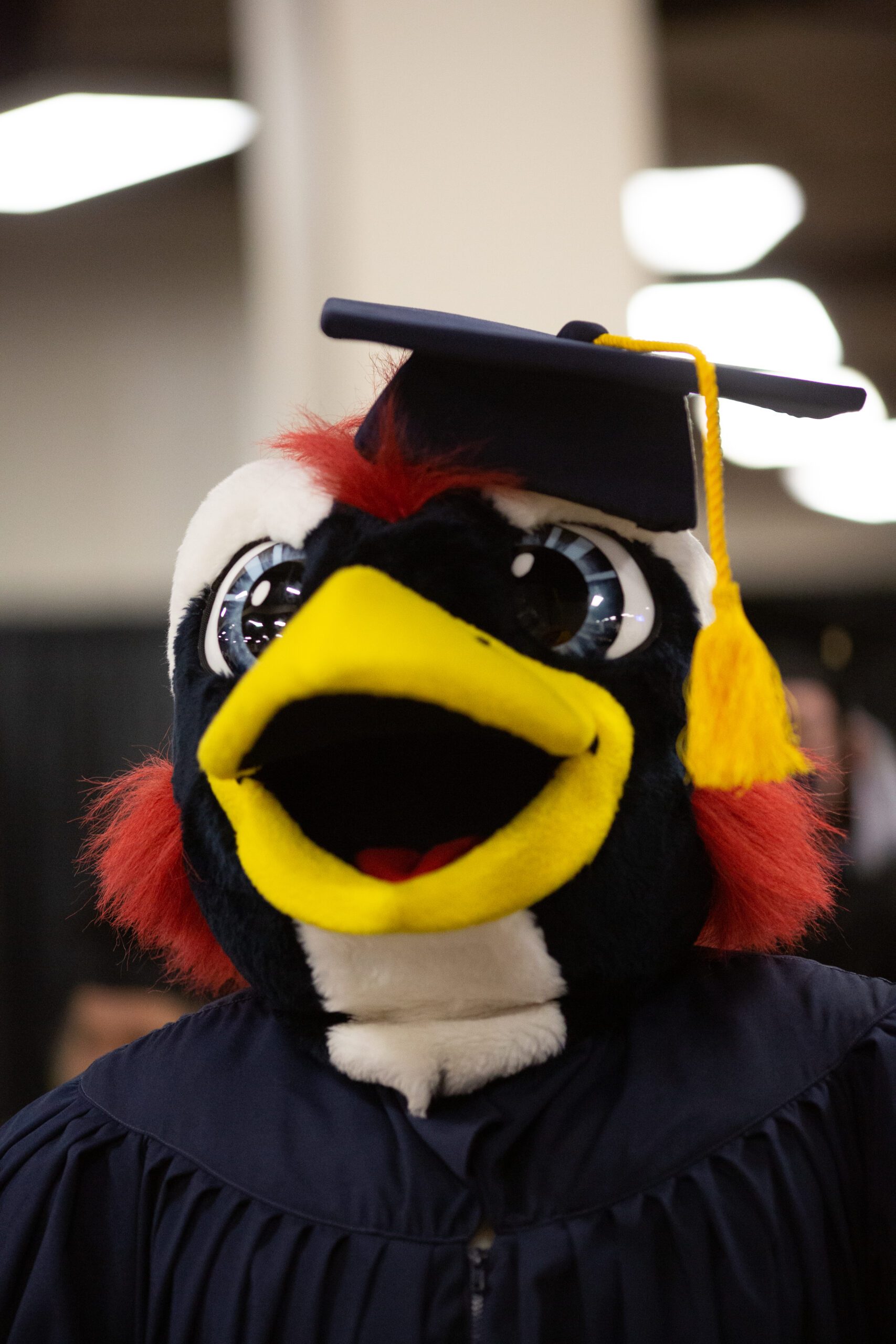 Decorative Image of Rowdy the Roadrunner at Graduation