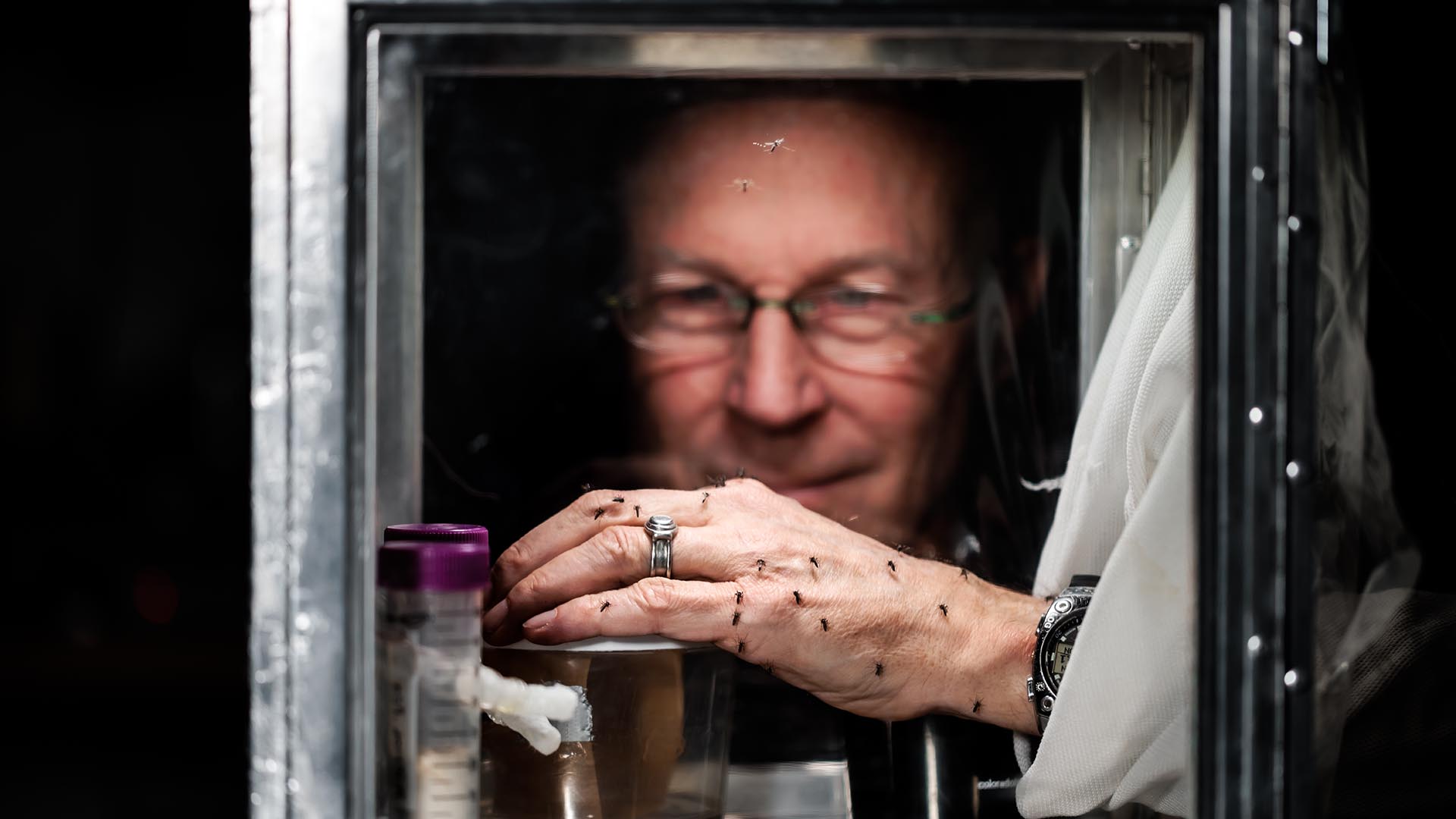 MSU Denver Biology Professor Robert G. Hancock, Ph.D., observes mosquitoes feeding on his hand.