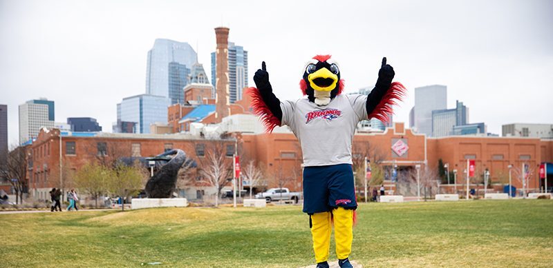 Spring 2019 OPEN HOUSE: Rowdy the Roadrunner standing on rock outside Tivoli Student Union with the Denver skyline in the background.
